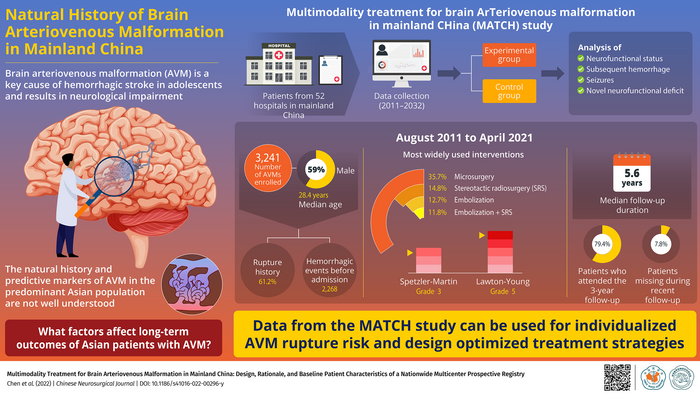 Brain Arteriovenous Malformation in the Asian Population