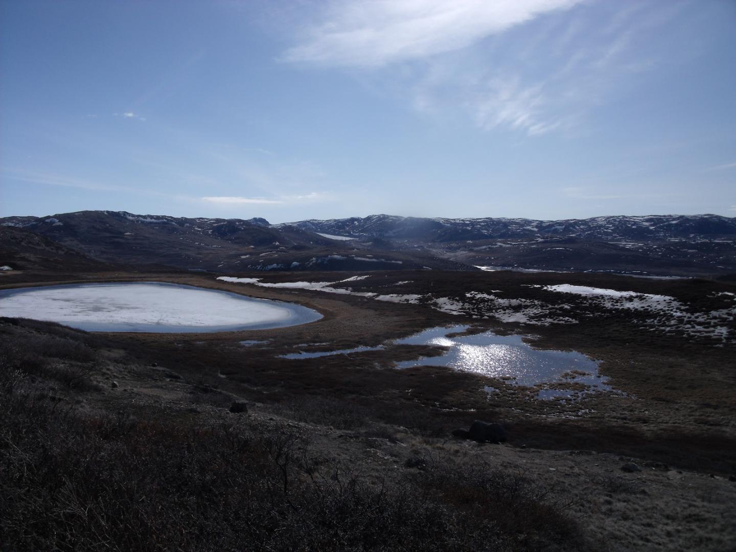 Aquatic habitats in Kangerlussuaq, Greenland.