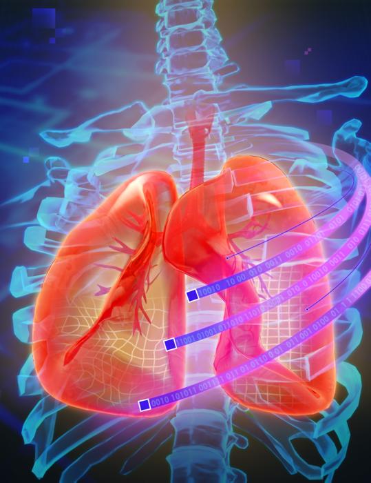 Respiratory Motion Modeling