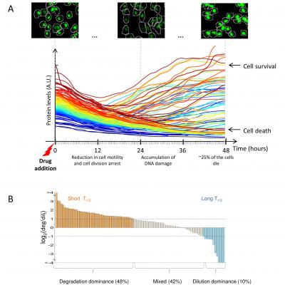 Spatial Maps of the Human Genome Win Grand Prize (5 of 11)