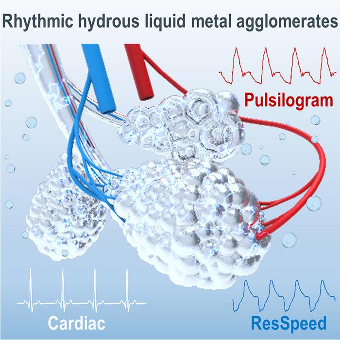 Schematic for biotissue-like rhythmic hydrous liquid-metal agglomerates