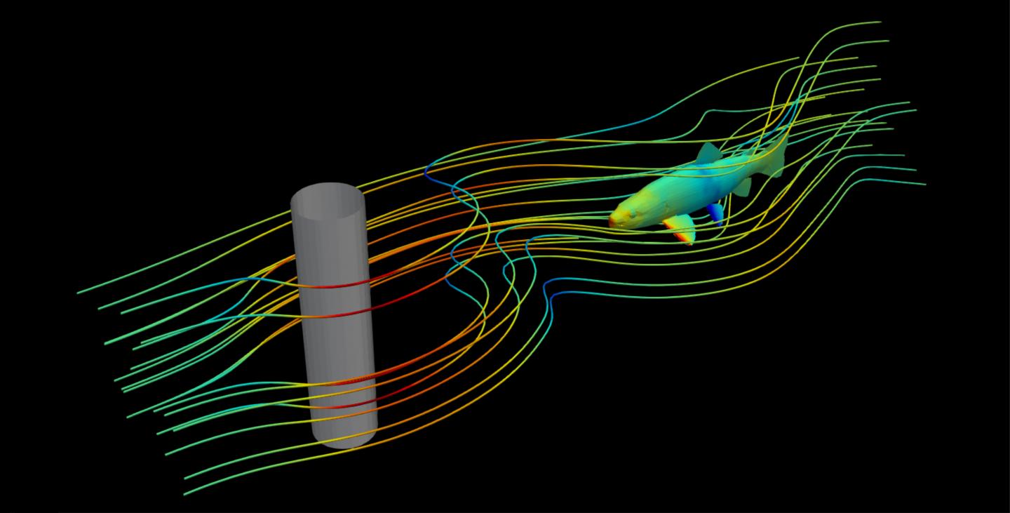 Fish React Quickly to Large and Sudden Changes in the Flow