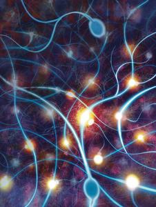 Buck scientists discover a potential way to r - Vimarsana News