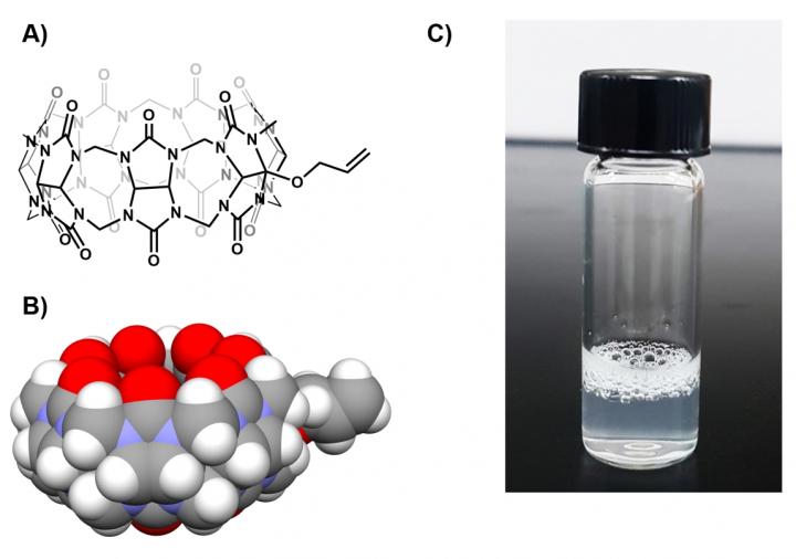 Chemical Structure and Surfactant Features of Mono-Allyloxylated cucurbit[7]uril (AO1CB[7])