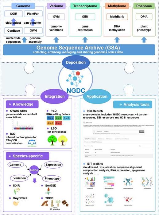 Database resources of plants in NGDC-CNCB