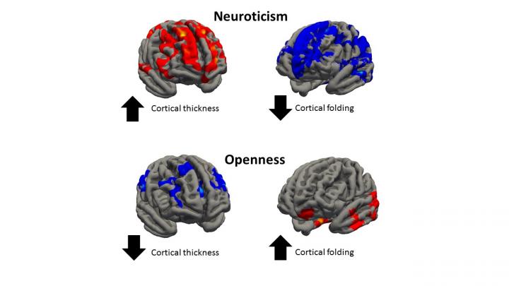 Neuroticism and Openness