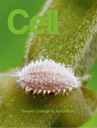 Cover of the June 2013 Issue of <I>Cell</I>