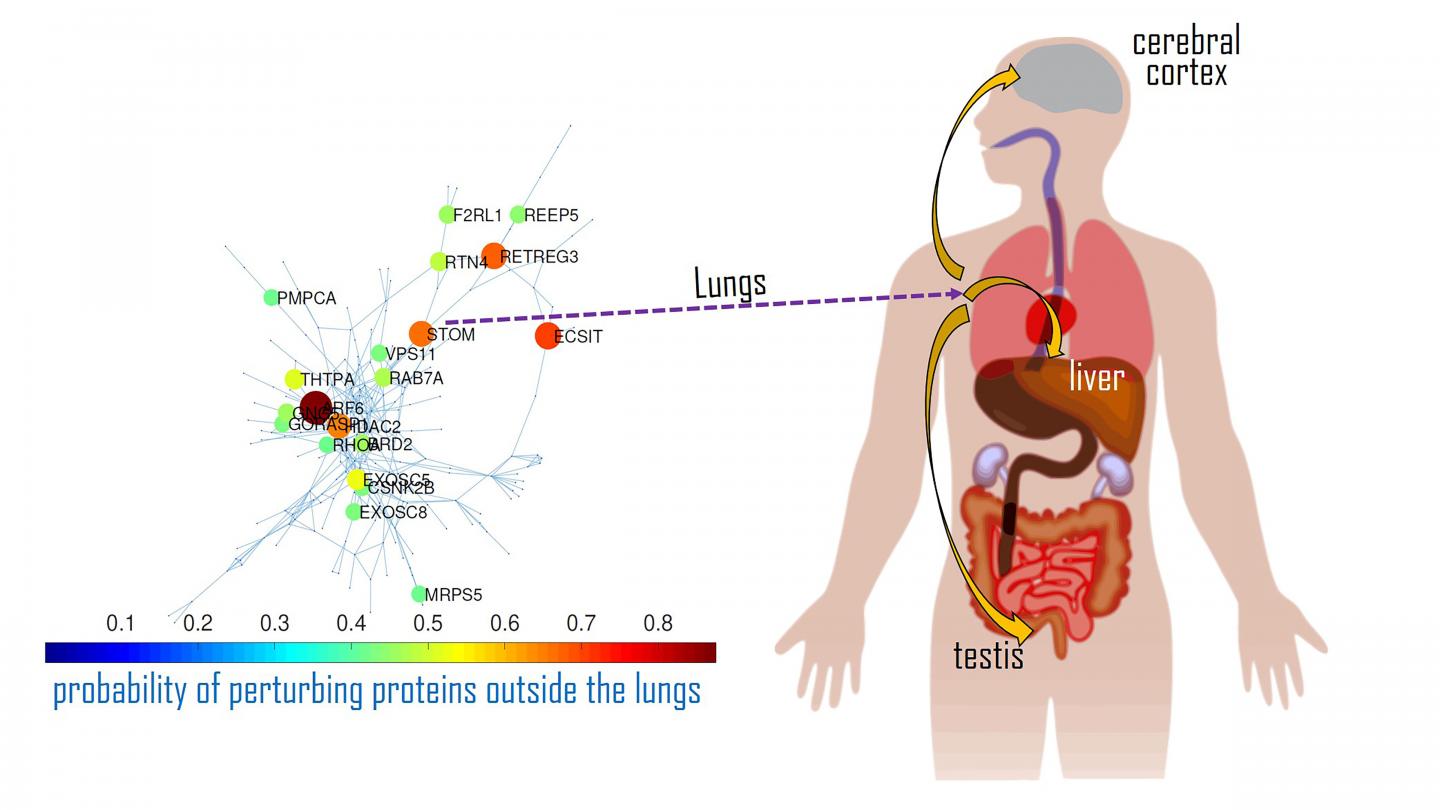 An interaction map of the main disease activators for SARS-CoV-2 in the lungs