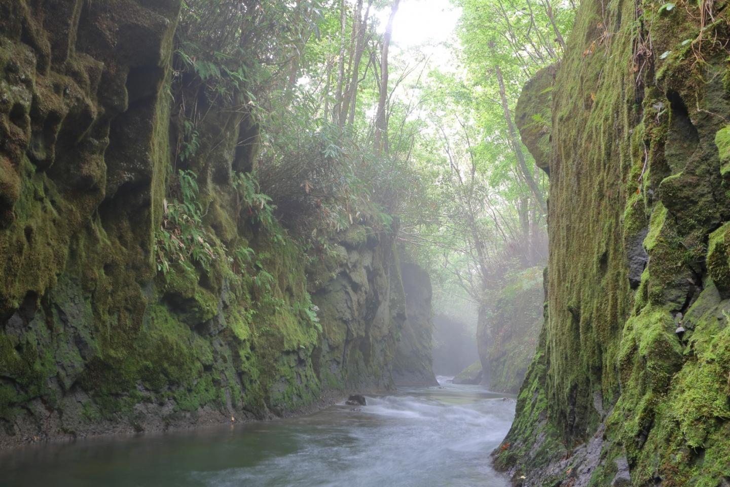 Bryophytes Covering Rocky Cliffs Along a River in Tomakomai City in Hokkaido