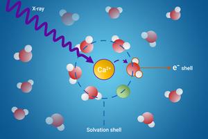 Hidden World of Solvation Shells