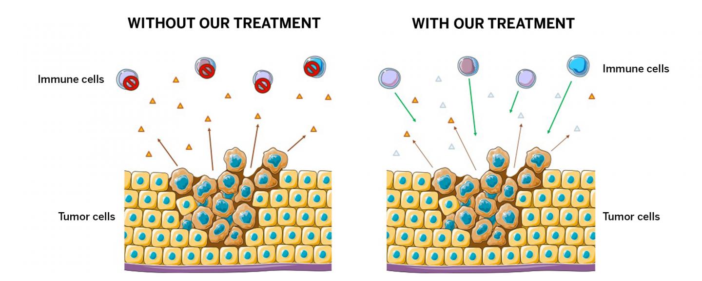 Illustration of Tumor Cells and Immune Cells