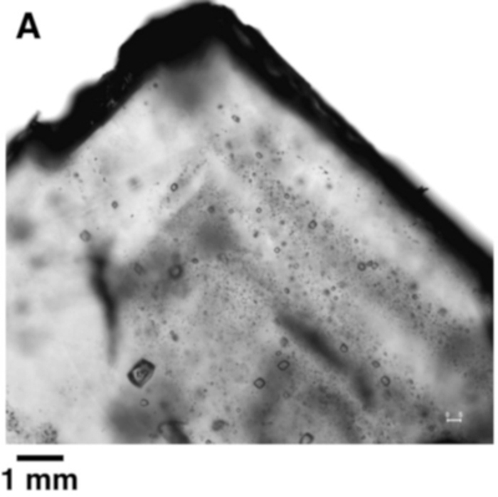 Fluid inclusions in halite