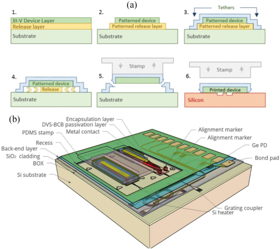 Micro-transfer printing for heterogeneous Si | EurekAlert!