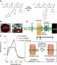 SP-Modified Hydrogels