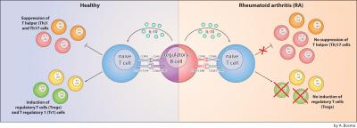 Regulatory B Cells Lacking in Rheumatoid Arthritis (1 of 1)