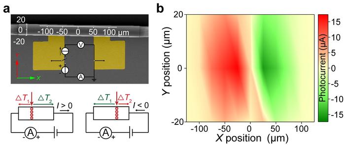 Figure 2. Verification of PTE effects of self-rolled detectors.