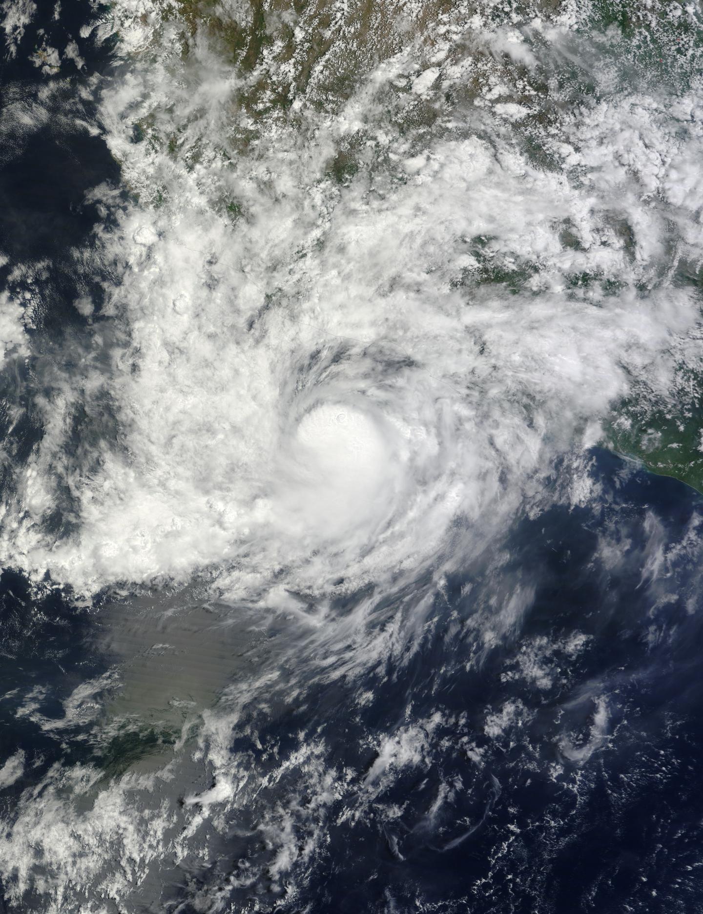 Terra Image of Carlos