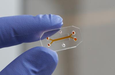 Wyss Institute Organ-on-Chip