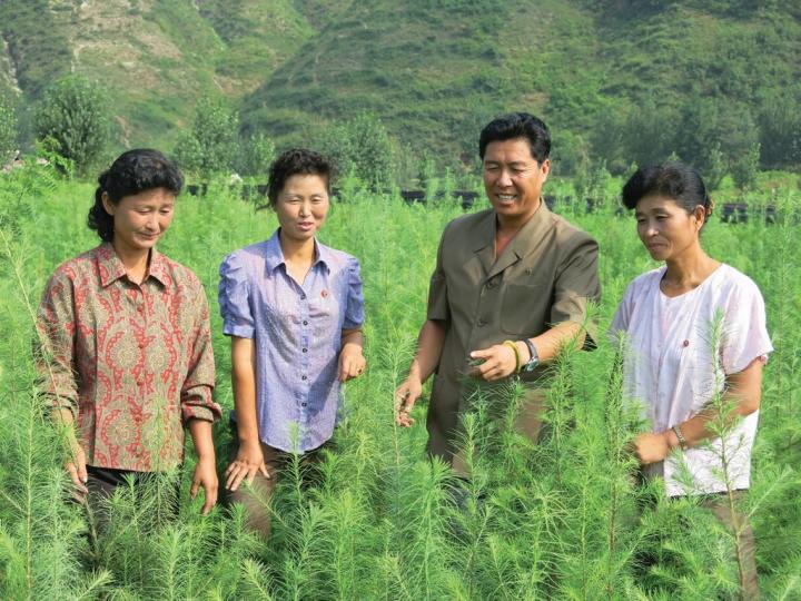 Forest Ranger and Villagers