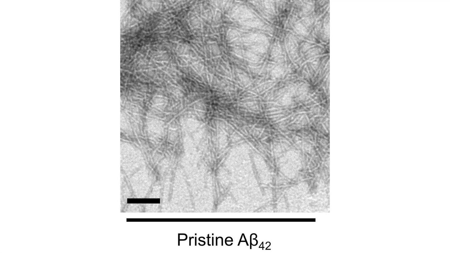 Figure 2. pristine Ab_s (002)