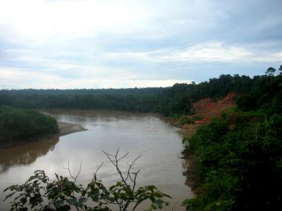 A Picture of the Amazon Before Columbus (6 of 6)