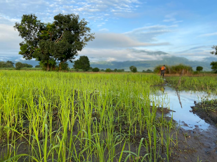 A farmer on a field in Tanzania