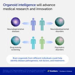 Organoid intelligence will advance medical research and innovation
