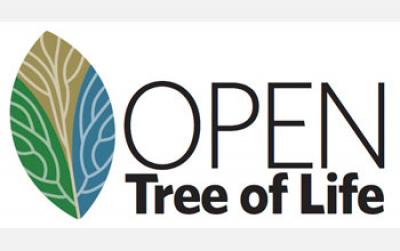 Leaf with the Words 'Open Tree of Life'