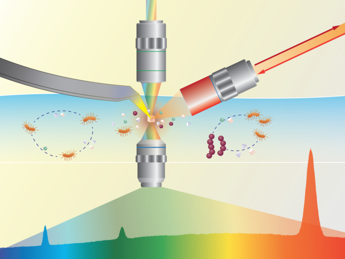 BIGTUNA Bioimaging Tool