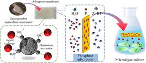 graphical abstract