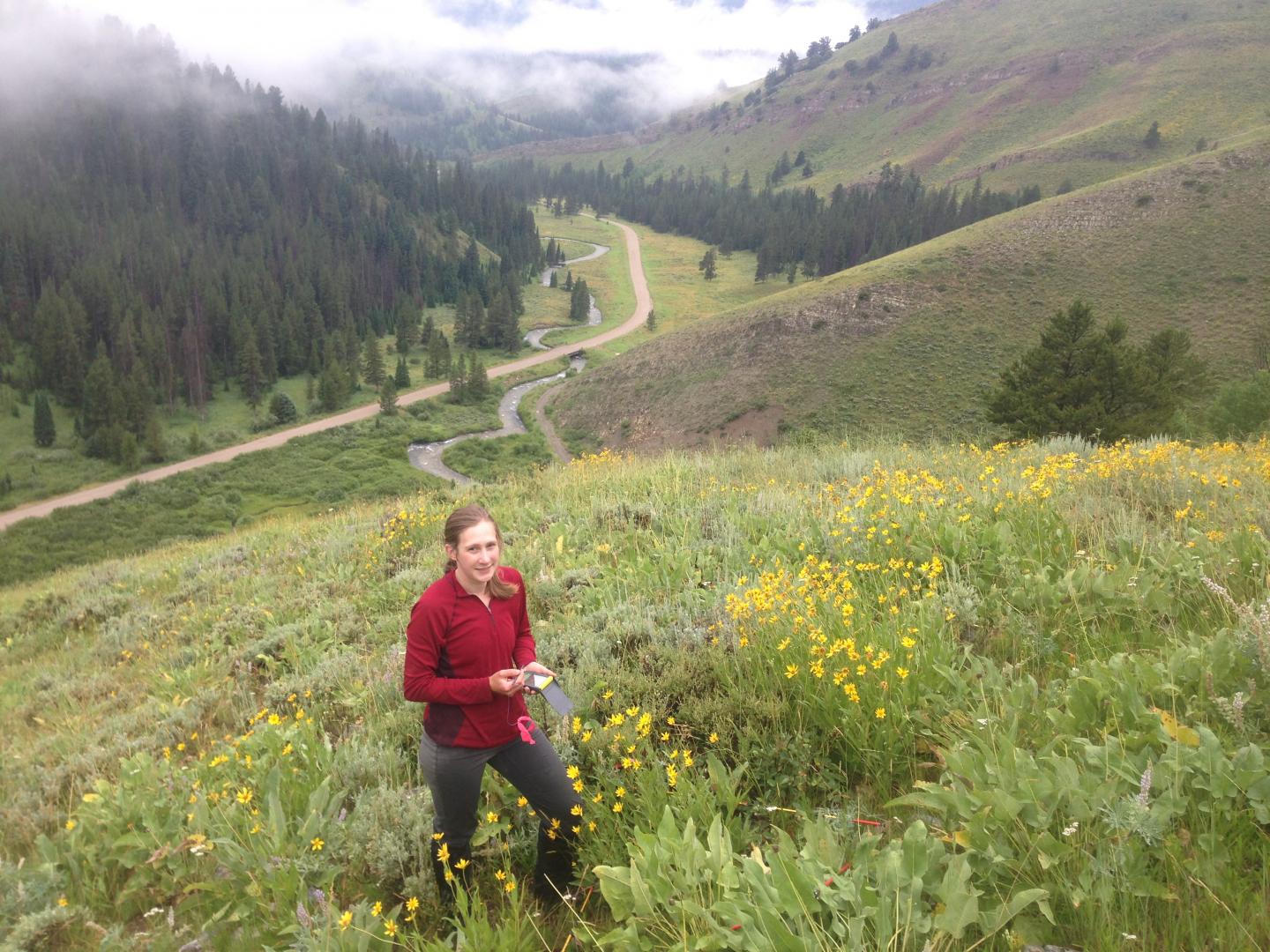 Wyoming Range research