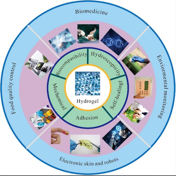 Breakthrough in Sustainable Biomaterials: Innovations in Polyacrylic Acid Hydrogels