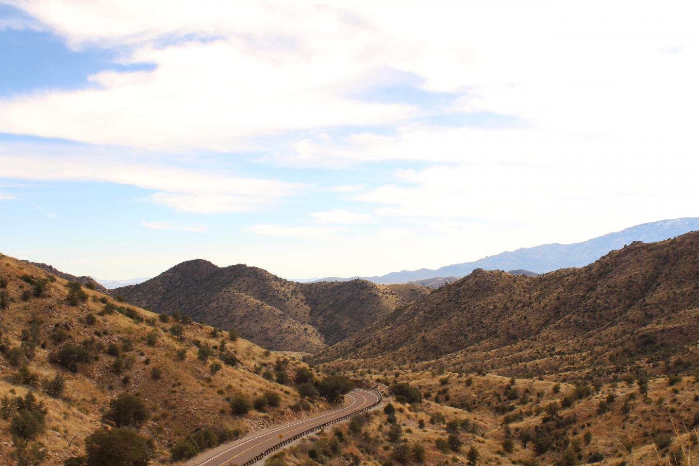 Santa Catalina Mountains