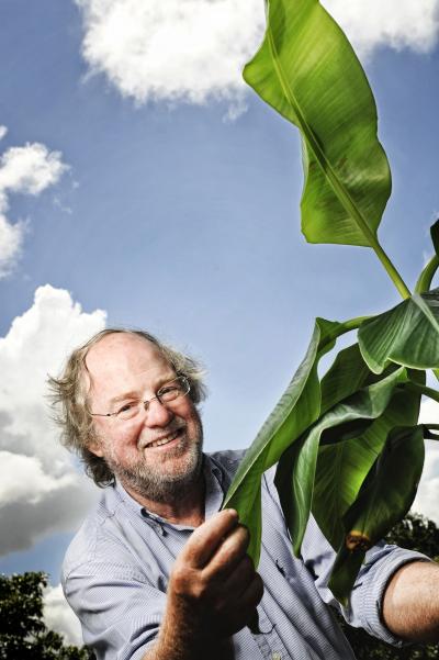 James Dale, Queensland University of Technology