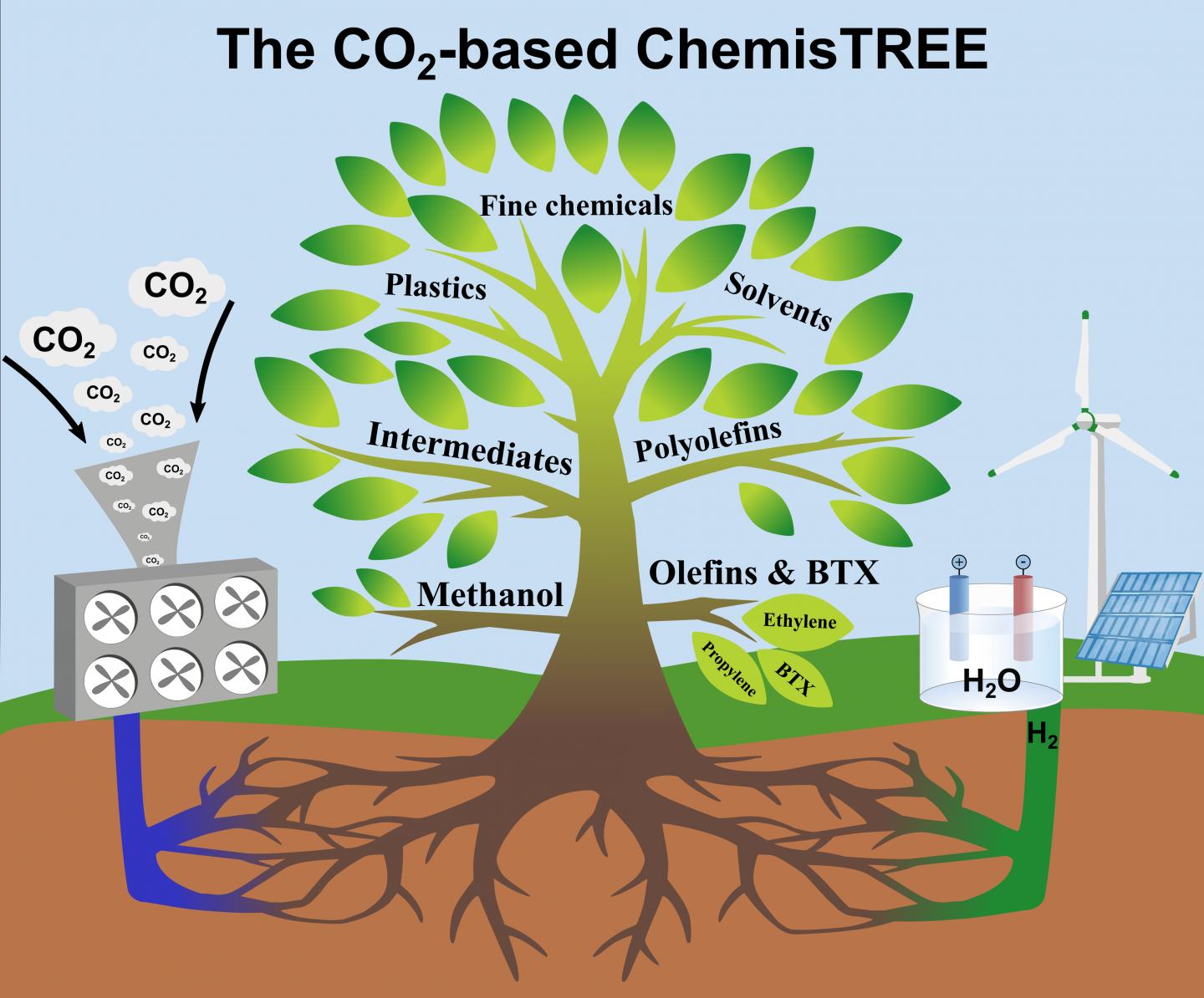 CO2 as a Carbon Source