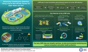 Novel microfluidic sensor for rapid detection of trimethoprim (TMP) antibiotic contamination