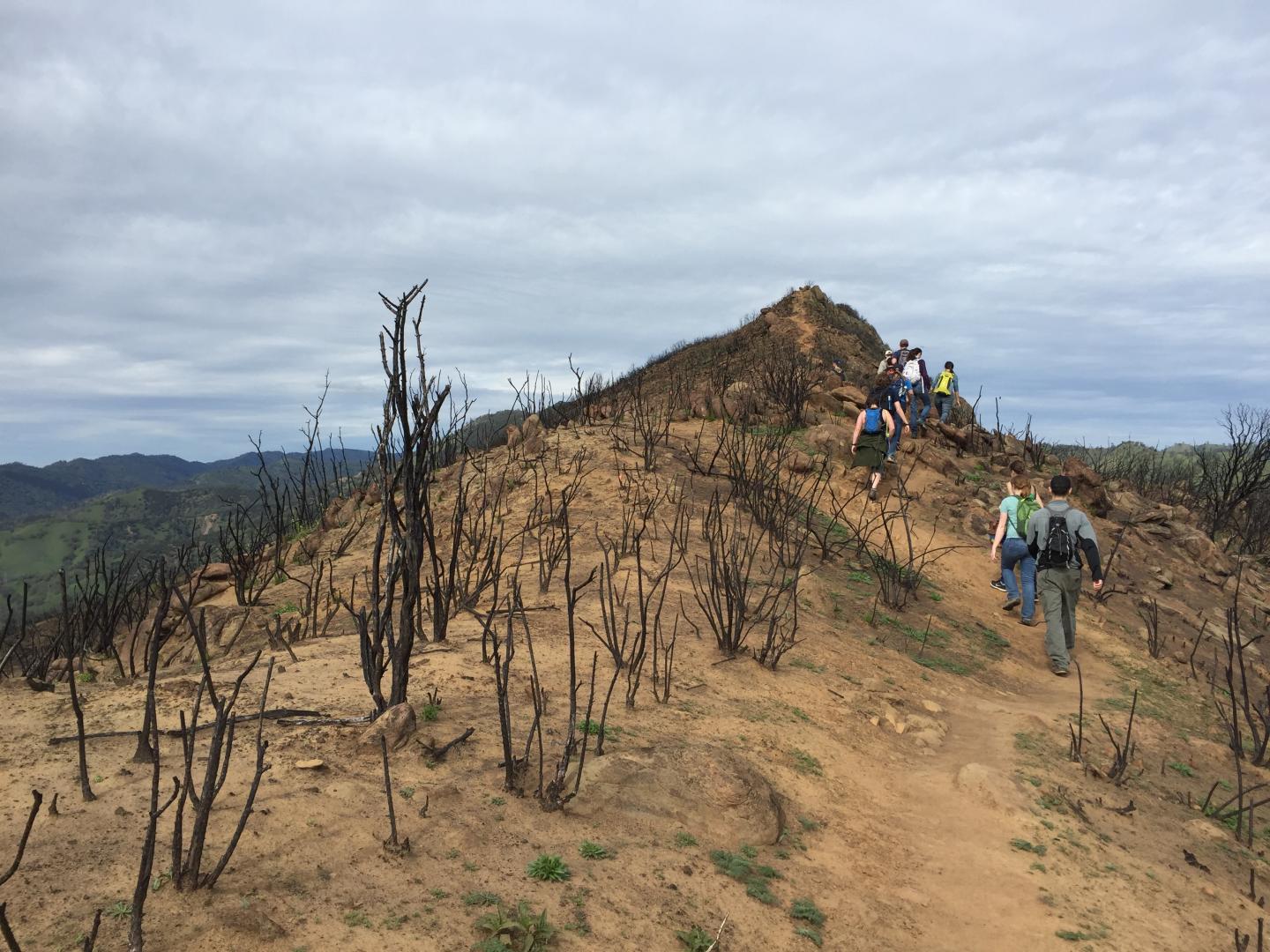 Hiking Burned Ridge Top