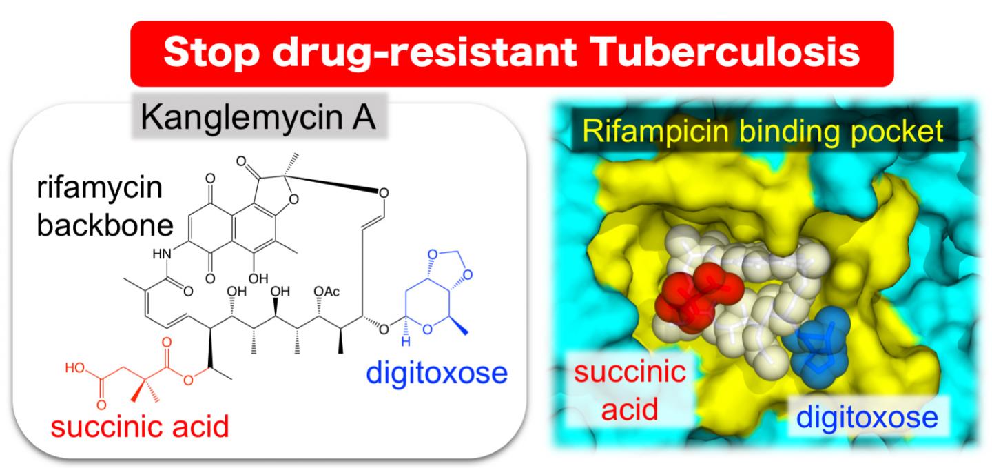 Kanglemycin 3D structure
