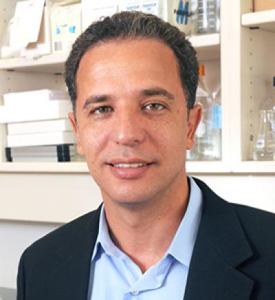 Hesham Sedak, University of Texas Southwestern Medical Center 