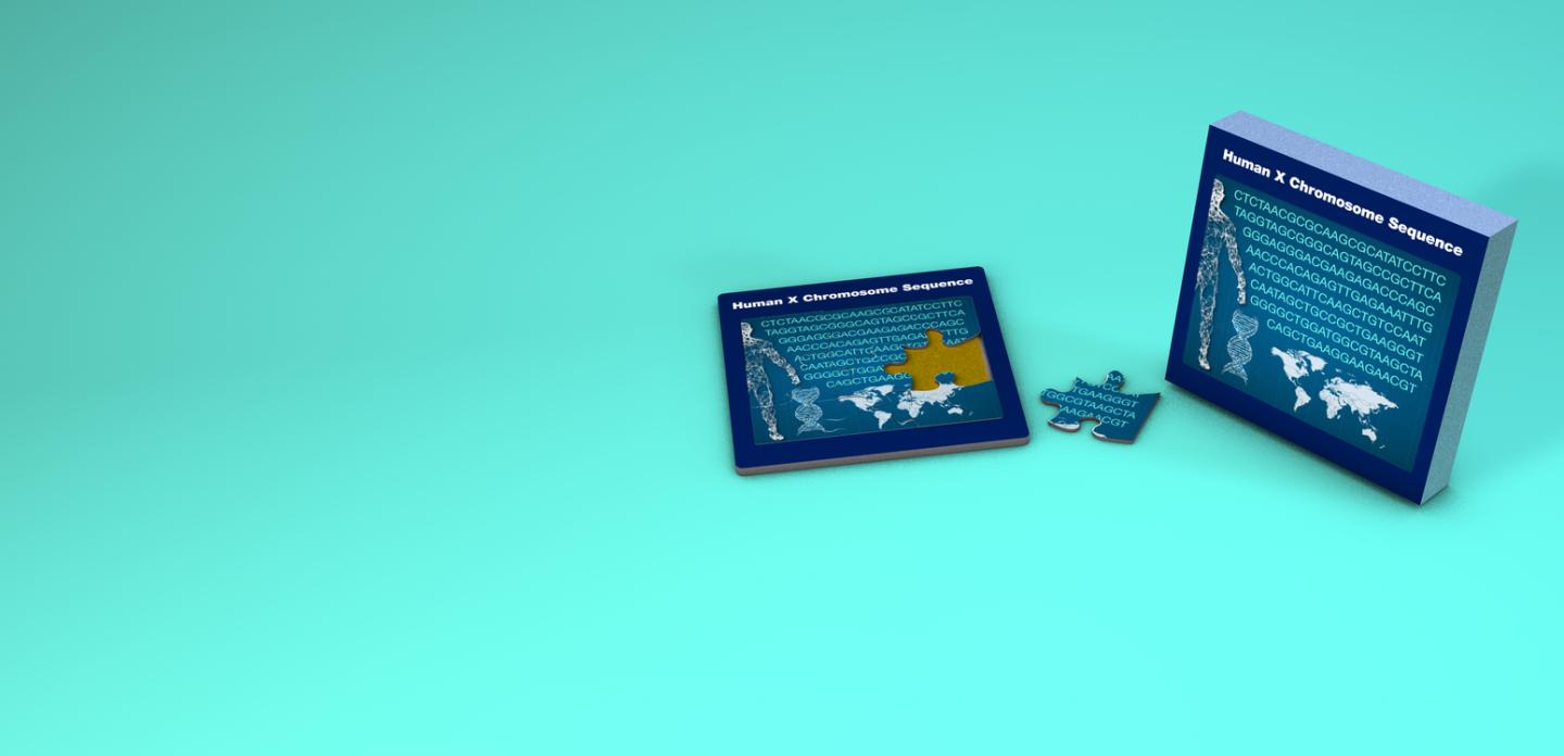 Researchers Have Generated the First Complete X Chromosome Sequence