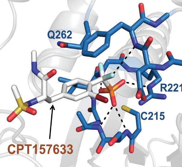 Potential Rett Drug Binding to Its Target