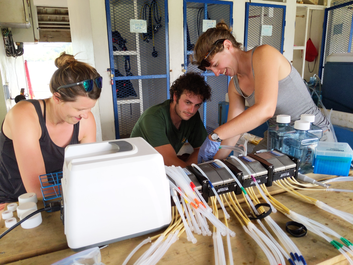 Sampling reef exometabolites