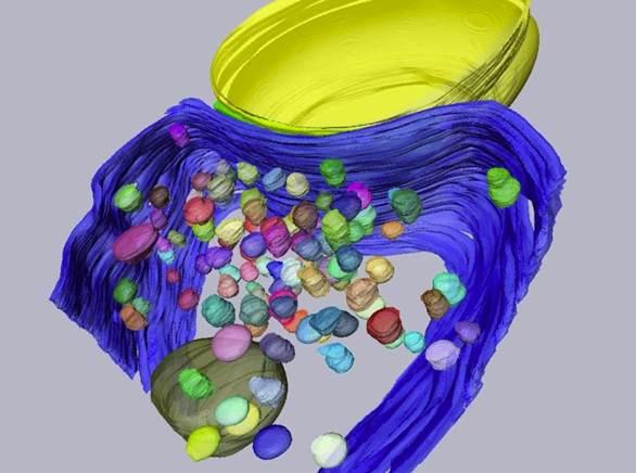 Docking Site with Presynaptic Terminal