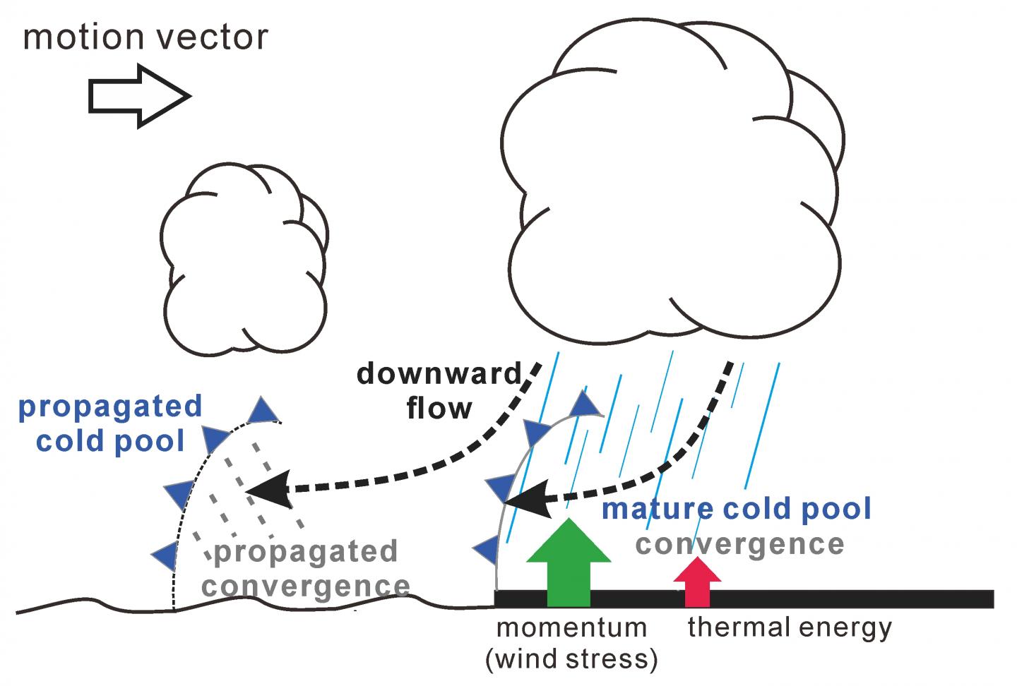 Korean Coastal Precipitation