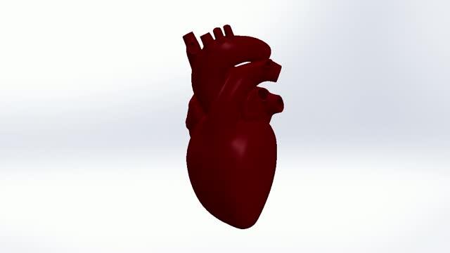 UBC Heart Valve