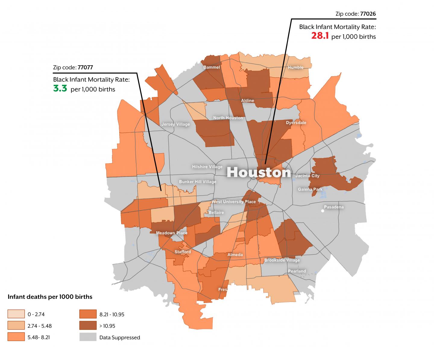 Infant Mortality in Houston