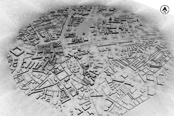 Lungs of the City (1 of 3)