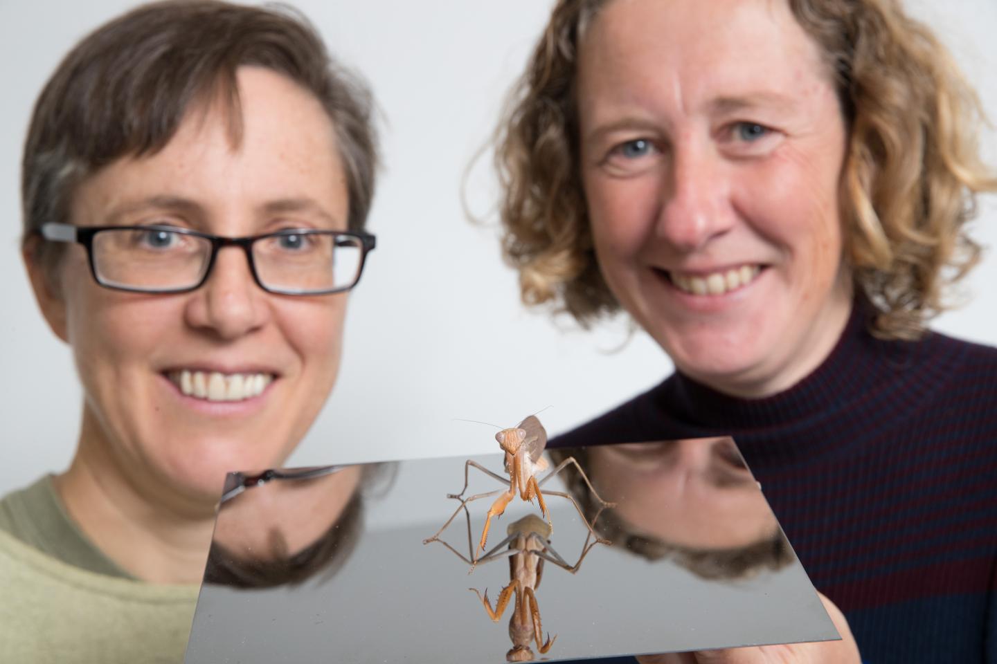 Praying Mantis with Profs Candy Rowe and Jenny Read