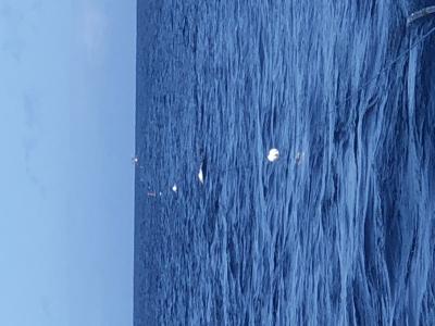 Surface -towed CSEM off Hawai'i Island