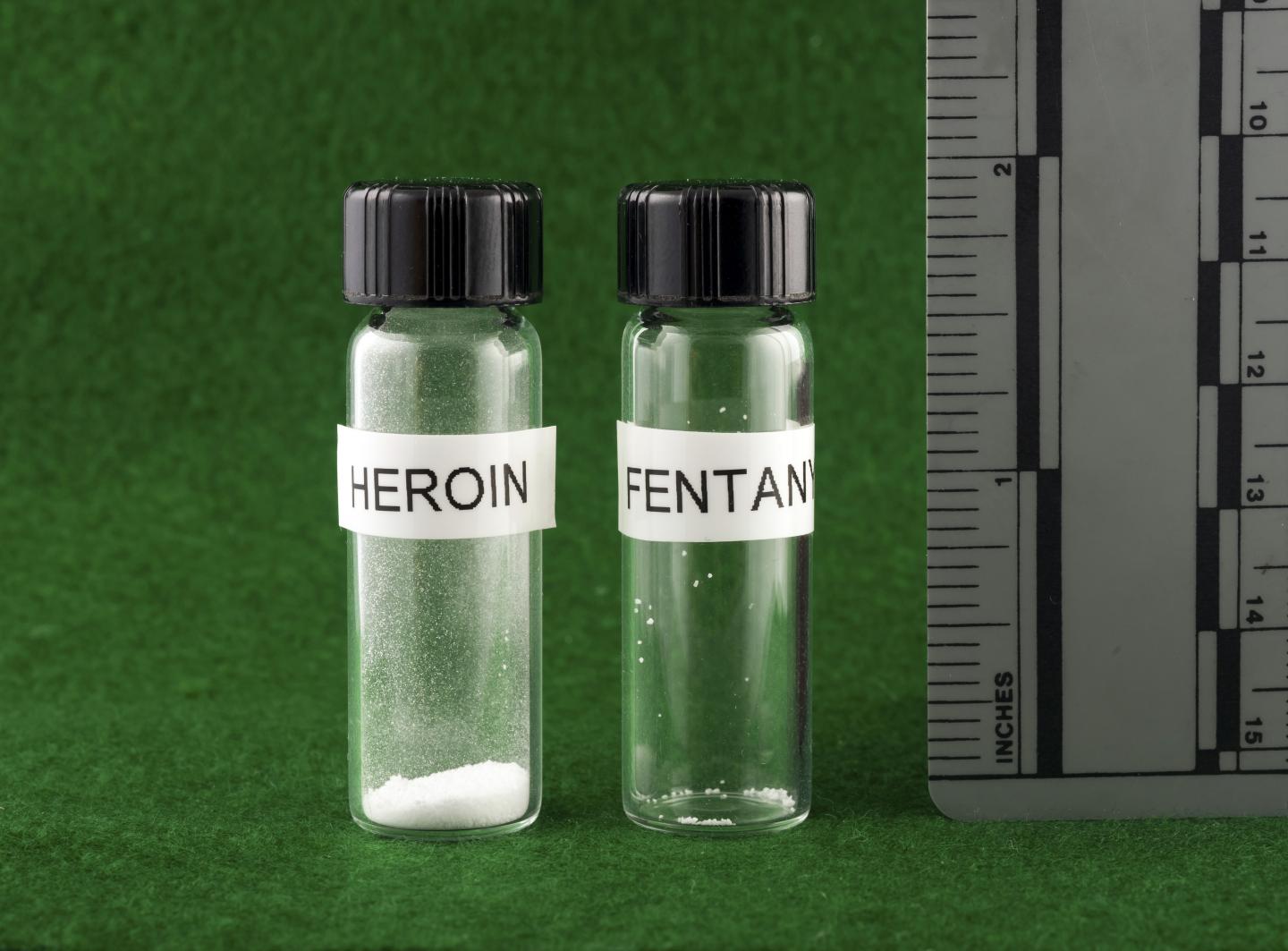 Lethal Dose Comparison